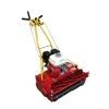 McLane Greens Keepers 20" Straight Edger Mower Briggs & Stratton -Lawn Mowers Sales Shop untitled 1 8 6 2